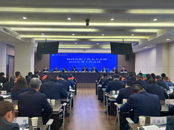 彩神v集团等三家公司召开一届四次职工代表大会暨2026年度工作会议